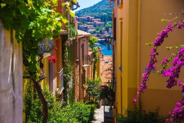App' Art Centre Plage + Parking Gratuit Collioure Exterior foto